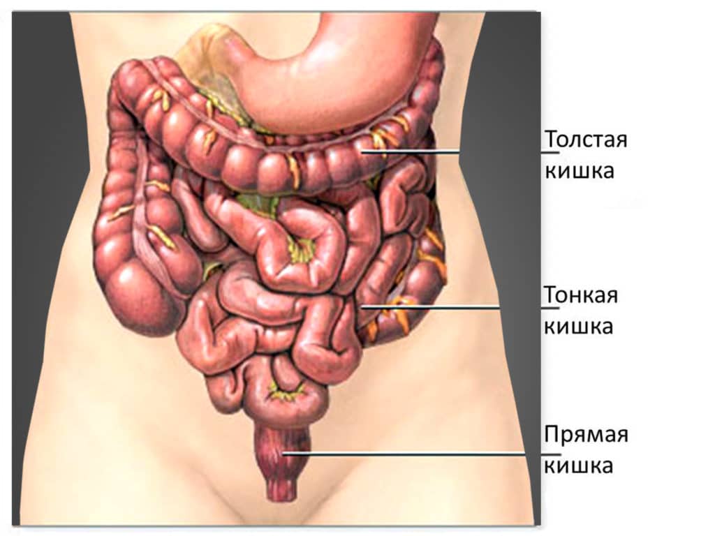 КТ кишечника