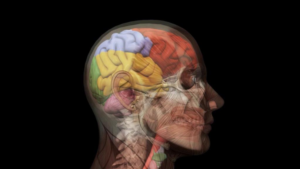 КТ головного мозга и области головы