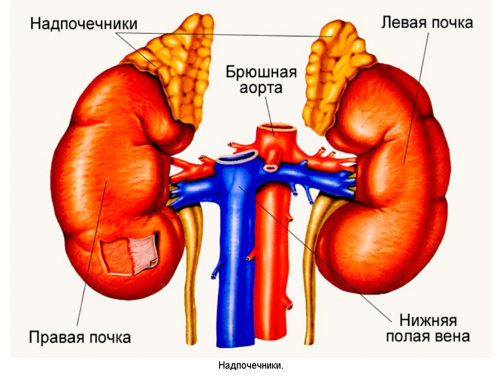 КТ надпочечников