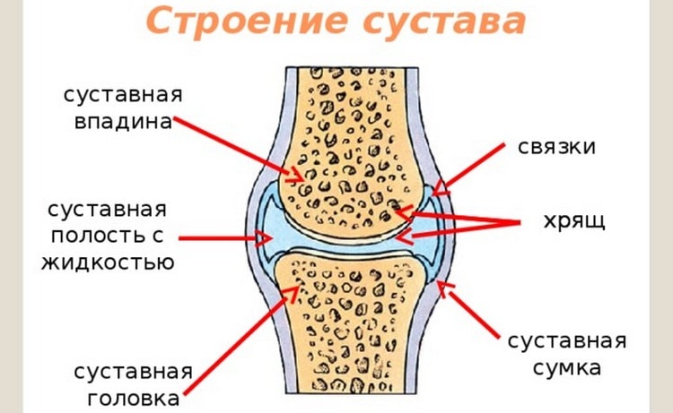 КТ суставов