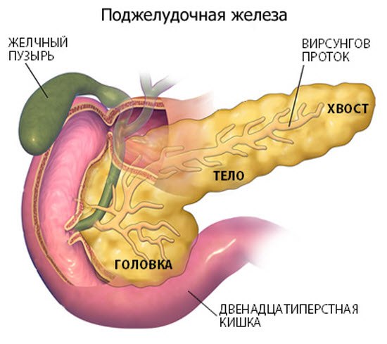 КТ поджелудочной железы